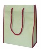 Environmental pp non woven shopping bag