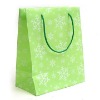 Environmentally PP Shopping Bag