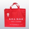 European Shopping bags(WA-006)