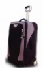 Eva trolley case(CT450)