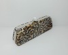 Evening Bag