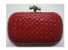 Evening bag, clutch bag,purse,bag,fashion bag,designer bag,