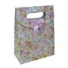 Everyday paper gift bag