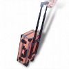 Exquisite slap-up aluminum trolley suitcase