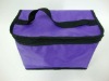 Exqusite Printed Purple 70D Polyester Travel  Ice Box