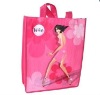 Family use non woven shopping bag