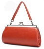 Fashion Bag