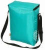 Fashion Camping insulated cooler bag with top zipper