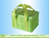 Fashion Can Cooler Bag