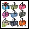 Fashion Colourful cooler bag