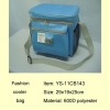 Fashion Cooler Bag