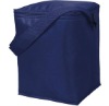 Fashion Cooler Bag for Frozen Food