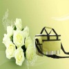 Fashion  Cooler Bags for travel