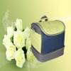 Fashion Cooler Bags fot travel