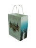 Fashion Environmental Paper Carry Bag