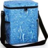 Fashion Insulating Curatorial cooler bags