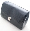 Fashion Lady Cosmetic Bag