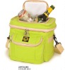 Fashion Lunch Bag Coolers 23HT2328G