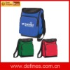 Fashion Lunch Cooler Bag