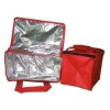 Fashion Non Woven Cooler Bag