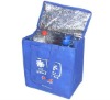 Fashion Non Woven Cooler Bag