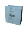 Fashion Paper Advertising Bag