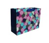 Fashion Paper Gift Bag