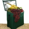 Fashion Picnic cooler Bag