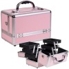 Fashion Pink beauty aluminum cosmetic case