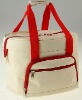 Fashion Tote Lunch Cooler Bag