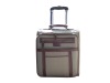 Fashion Trolley Case