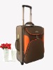 Fashion Trolley Luggage