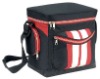 Fashion and Durable Cooler Bag