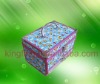 Fashion and Pretty Cosmetic Case