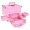 Fashion and professional Aluminum Makeup Case