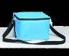 Fashion cheap Cooler bags