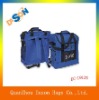 Fashion cooler backpack bag