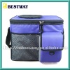 Fashion cooler bag