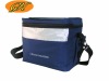 Fashion cooler bag