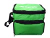 Fashion cooler bag