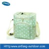 Fashion cooler bag for picnic