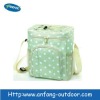 Fashion cooler bag for picnic