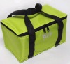 Fashion cooler bags