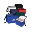 Fashion cooler bags