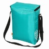 Fashion eco-friendly polyester cooler bag/picnic bag