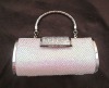 Fashion evening bag