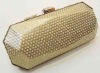 Fashion hardboard evening bag