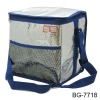 Fashion hot sell disposable cooler bag