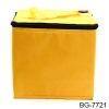 Fashion hot sell fashion cooler bag