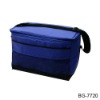 Fashion hot sell foldable cooler bag